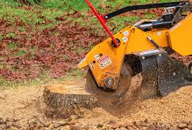Best Pest Control for Lawns  in Scottdale, PA