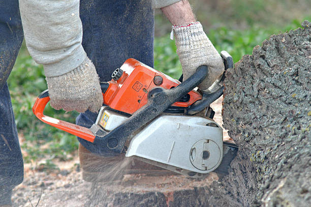Best Soil Testing and Treatment  in Scottdale, PA